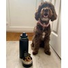 NEREUS Water Bottle with Hidden/Secret Compartment - Thermal Lined for