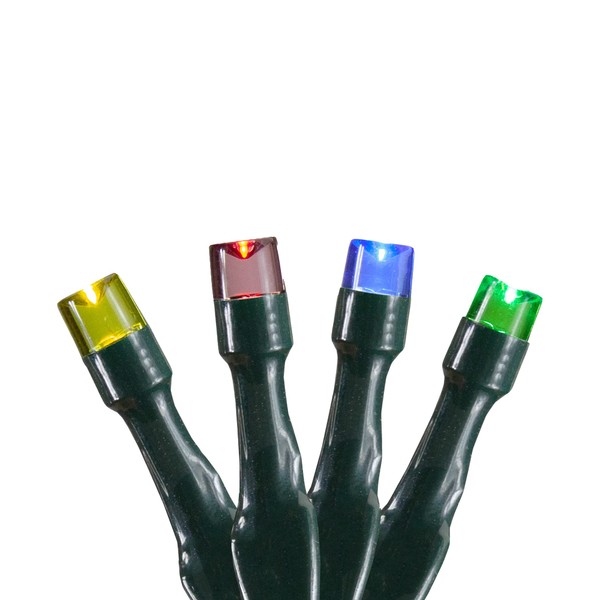 Northlight 10 B/O Multi LED Wide Angle Christmas Lights -