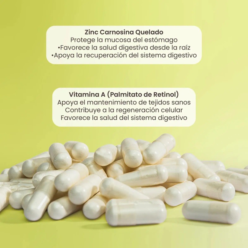Zinc Carnosina Quelado Cápsulas Pepcil Matter