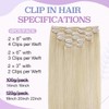 Sindra Clip-In Real Hair Extensions, Human Hair, 16 Inches, 40