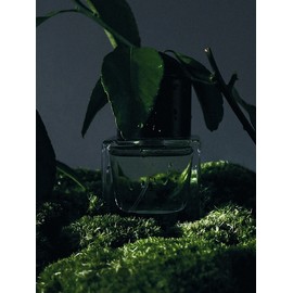 Capri Multi Fragrance 50ml / 카프리 멀티프래그런스 50ml