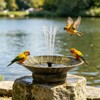 Bird Bath for Outside, Solar Powered Bird Bath Bowl Fountain
