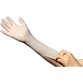 Latex Powder Free Gloves x 100 Gloves - Glove Club Ltd (Small)