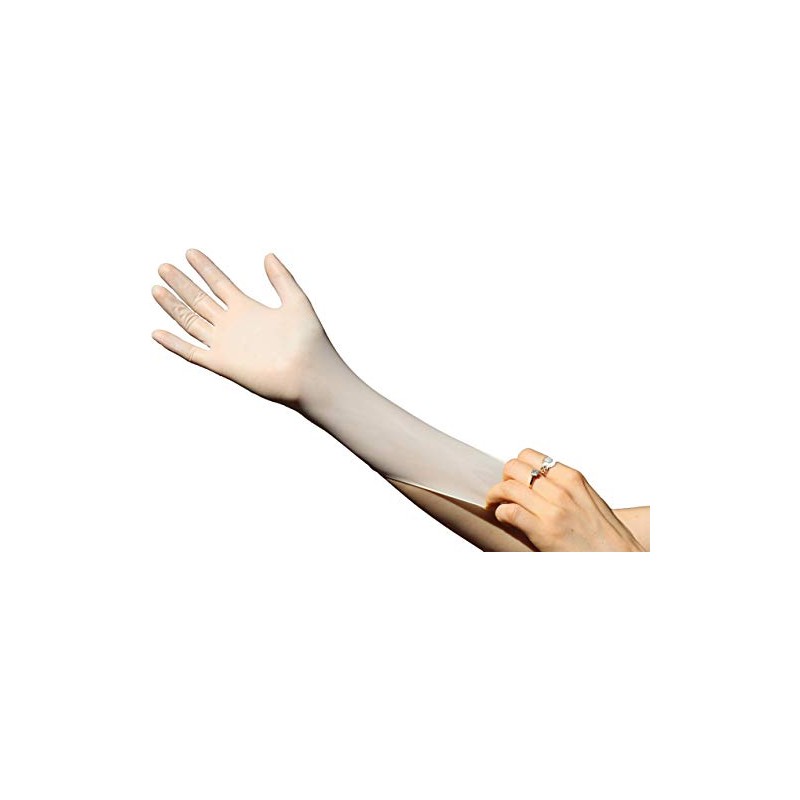 Latex Powder Free Gloves x 100 Gloves - Glove Club