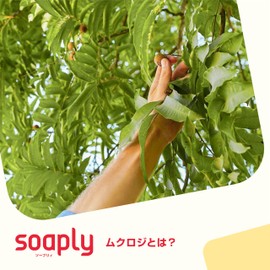 Soapley Hand Soap, Lavender & Tonka Scent, 10.1 fl oz (300 ml), Plant-derived, Eco-friendly, Pump Type, Skin Friendly