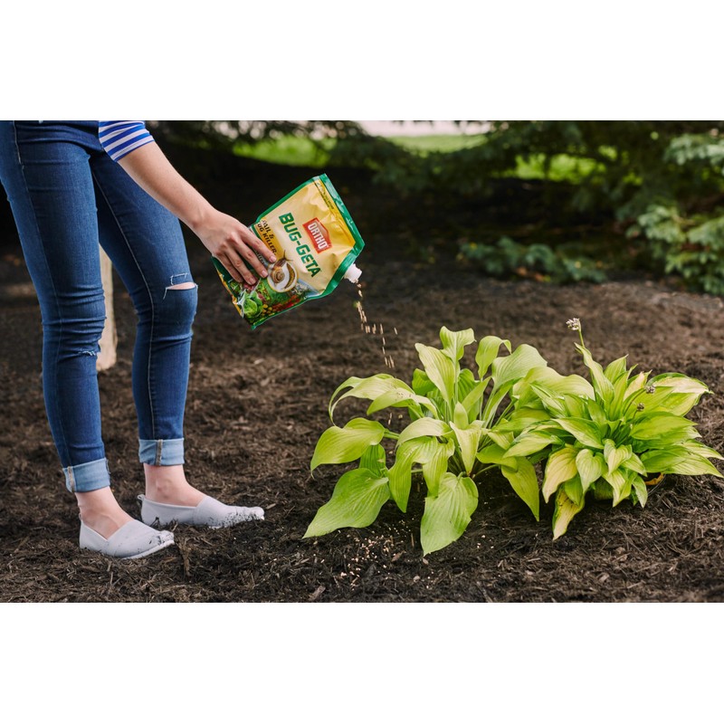 Ortho Bug-Geta Snail & Slug Killer2