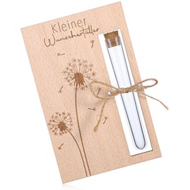 MBAIYO Geldgeschenke Geburtstag, Geldgeschenk Verpackung aus Holz Wunscherfüller Pusteblume Lustige Hochzeitsgeschenk Mit Reagenzgläsern Bindfaden für Hochzeit Brautpaar Reise Geschenk