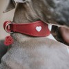 HUNTER Greyhound Collar Love, Colour: Red/Black, Soft, Robust Cowhide Leather,