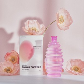 캄스킨 이너워터 일회용 질세정기 110ml Camskin Inner Water Disposable Vaginal Cleanser 110ml