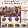 WOTIHA Culinary Grade Lavender Powder (17.6 oz) - 100% Pure