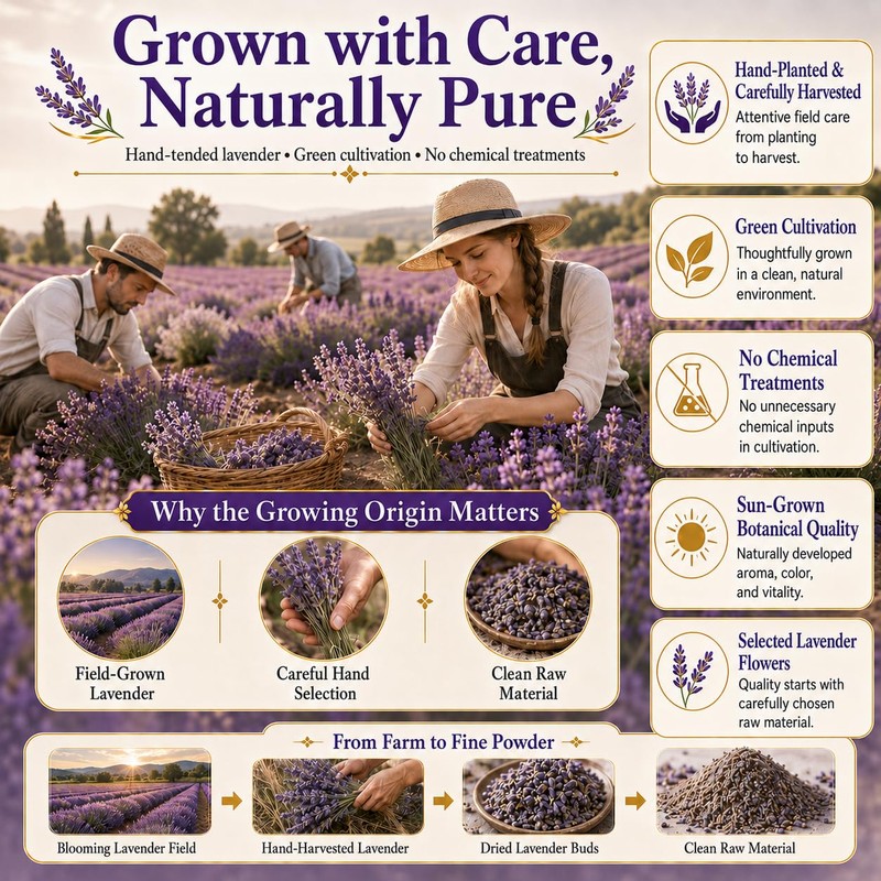 WOTIHA Culinary Grade Lavender Powder (17.6 oz) - 100% Pure
