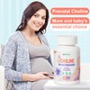 inGreens Prenatal Choline Supplement, 500mg, with Inositol, Bl, B6, Brain