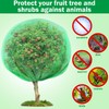 Fanfanwin 2 Packs 10 x 10 ft Large Fruit Tree