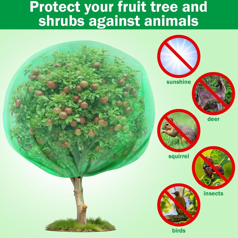 Fanfanwin 2 Packs 10 x 10 ft Large Fruit Tree