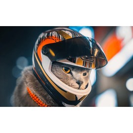 Pet Motorcycle Helmet for Cat Dog - Full Face Outdoor Bike Riding Helmet Hat (Multicolor)
