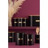 Typhoon 1401.17 Pasta Storage Canister Pasta Storage Canister, 11 x