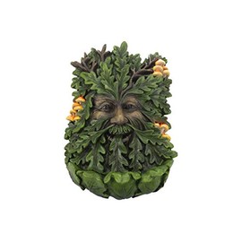 Nemesis Now D4267M8 Elderwood Wall Plaque 19cm Green, Polyresin, 23.8cm
