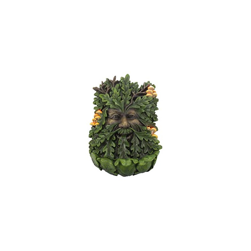 Nemesis Now D4267M8 Elderwood Wall Plaque 19cm Green, Polyresin, 23.8cm