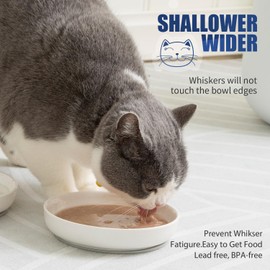 Lusifaco Shallow Cat Food Bowls, 5.9 Inch Wide Ceramic Cat Dish for Indoor Cat,Anti Whisker Fatigue Cat Dishes Set, Kitten Plates for Food and Water,Non-Slip Silicone Mat,3 Pack(Green)