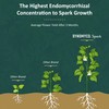 DYNOMYCO Spark 3 in 1 Mycorrhizal Inoculant Root Enhancer Powder