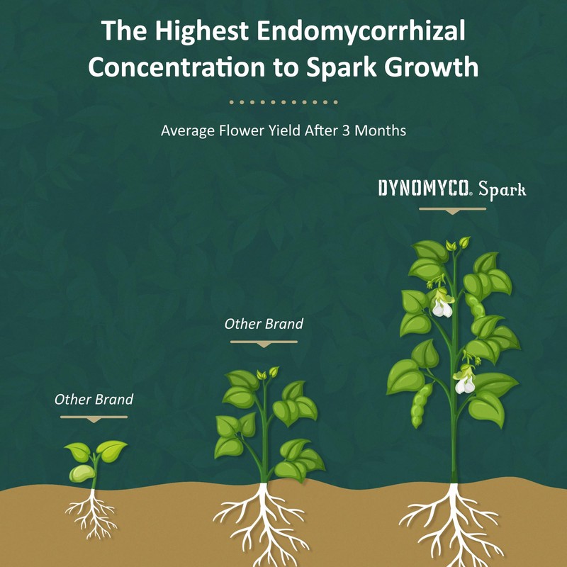 DYNOMYCO Spark 3 in 1 Mycorrhizal Inoculant Root Enhancer Powder