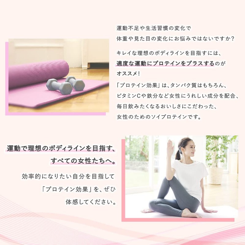 ウイダー プロテイン効果 森永ココア味 264g (約12回分) ソイプロテイン ボディメイク用プロテイン 1日分の鉄分 1/2日分のビタミンC プロテインの働き強めるEルチン配合