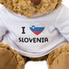 Big Red Egg I LOVE SLOVENIA FLAG - Teddy Bear