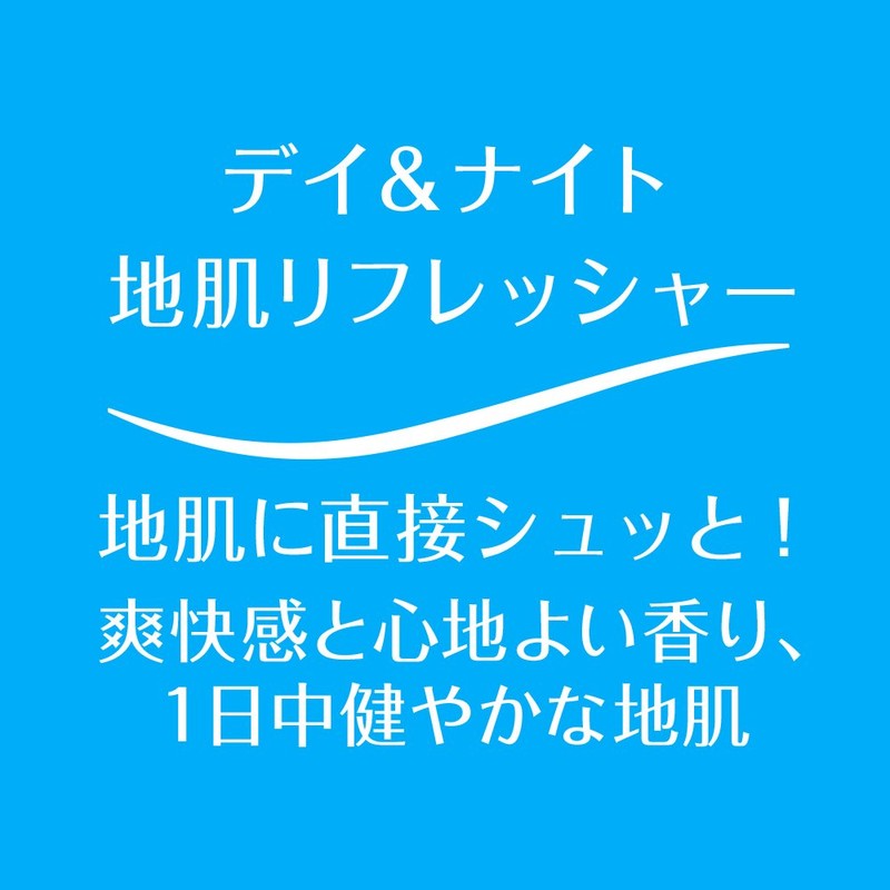 h&s Day & Night Skin Refresher, No Rinse Treatment, 4.1