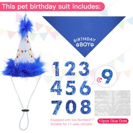 Dog Birthday Hat Bandana Set - Soft Birthday Boy Triangle Scarf and Number Hat, Cute Birthday Party Supplies with 0-8 Figures