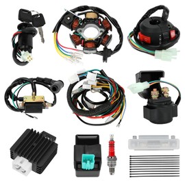 SHIQINHA Complete Wiring Harness Kit Compatible with Tao tao Coolster 125cc 110cc Chinese ATV Quad 4 Wheeler 4 Stroke Parts with Ignition Coil Stator CDI Box Starter Relay Solenoid Voltage Regulator