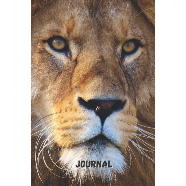 Lion Bullet Journal