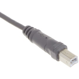 Belkin Components USB A/B Device Daisy Chain for USB Hub (6 Inches)