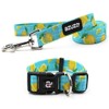 Azuza Dog Collar And Leash Set, Collar, Small Dogs, Medium-sized