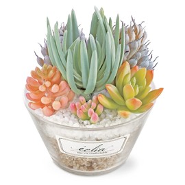 Kishima Eklia Deodorizing Artificial Green 6 L Size KH-61185 Size: Approx. W55.1 x D49.2 x H6.1 inches (140 x 125 x 155 mm)