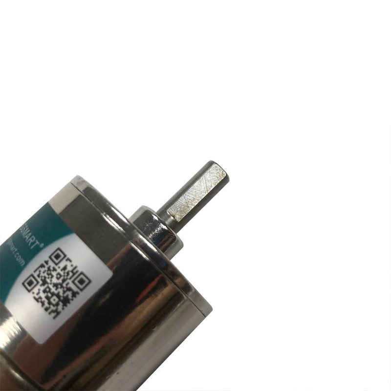 Bringsmart Micro DC 12V 5rpm Geared Motor with Bracket Centric