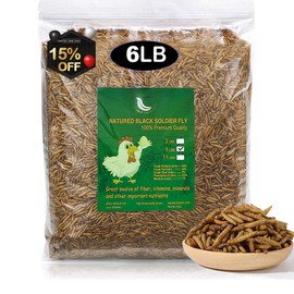 6LBs Natural Dried Soldier Fly Larvae 85XMore Calcium Than Dried Meal Worm, Euchirus Non-GMO Grub BSF Larvae Treat for Chicken,Duck,Geese,Turkey, Quail
