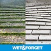 Wet & Forget No Scrub Outdoor Cleaner for Easy Removal