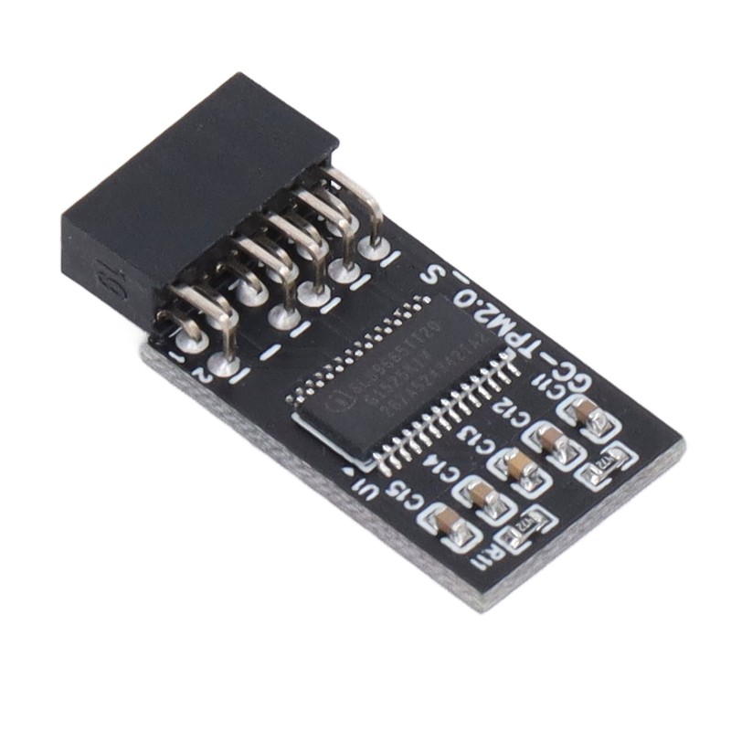 TPM 2.0 Module LPC SPI 12Pin Remote Card Encryption Security