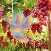 40 Pcs Round Bird Collision Window Stickers,Anti Collision Glass Alert