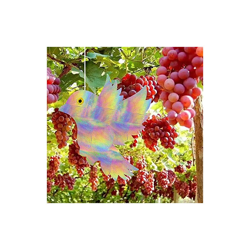 40 Pcs Round Bird Collision Window Stickers,Anti Collision Glass Alert