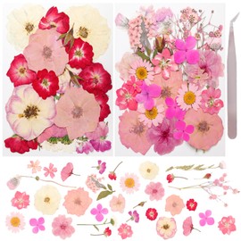 50Pcs Dried Pressed Flowers Real Pressed Flowers Natural Dry Leaves Bulk Mixed Colorful Herbs Kit with Tweezers for Scrapbooking DIY Candle Jewelry Crafts Making Nails (Pink)