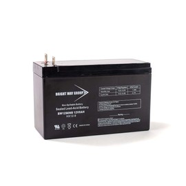 Bright Way Group 12V 9Ah Rechargeable SLA Battery with Nut & Bolt Terminal | BW1290 NB Terminal