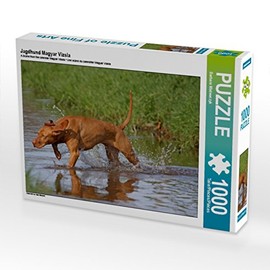 CALVENDO Puzzle Hunting Dog Magyar Vizsla - 1000 Pieces Photo Puzzle for Happy Hours