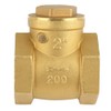 Backflow Prevention Valve DN50 Nominal Pressure 232PSI Swing Check Valve