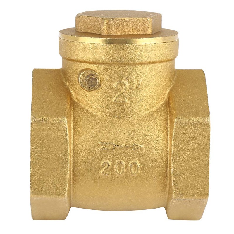 Backflow Prevention Valve DN50 Nominal Pressure 232PSI Swing Check Valve