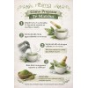 Té Matcha en Polvo 500 g | Calidad Premium