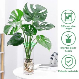 Plant Support Shrub Holder, Pack of 8 Plant Support Round, Plant Support Gripper, Plant Clips for Monstera Trellis and Alocasia, Ring for Plants, Hydrangeas, Tomatoes