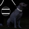 Dog Leads for Small Medium Dogs | Double Sided Reflective