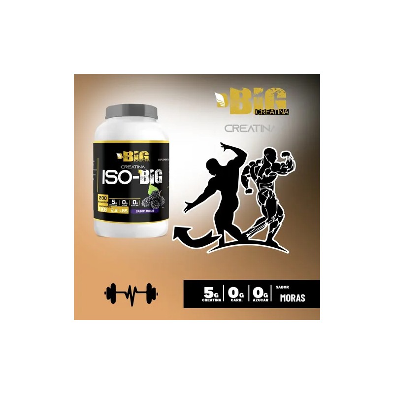 Creatina Monohidratada Big Protein 1kg 200 Servicios