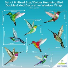 8 Mixed Beautiful Humming Bird Static Cling Window Stickers - Hummingbird Anti Collision Bird Strike Window Stickers - UNIQUE Double Sided Print